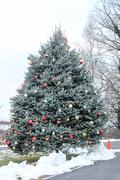 The decorated tree at the turn around on Gratton Price