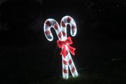 Well lit candy canes