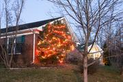 A tree of light by the house of Eugenia &amp; Thornton Parker.